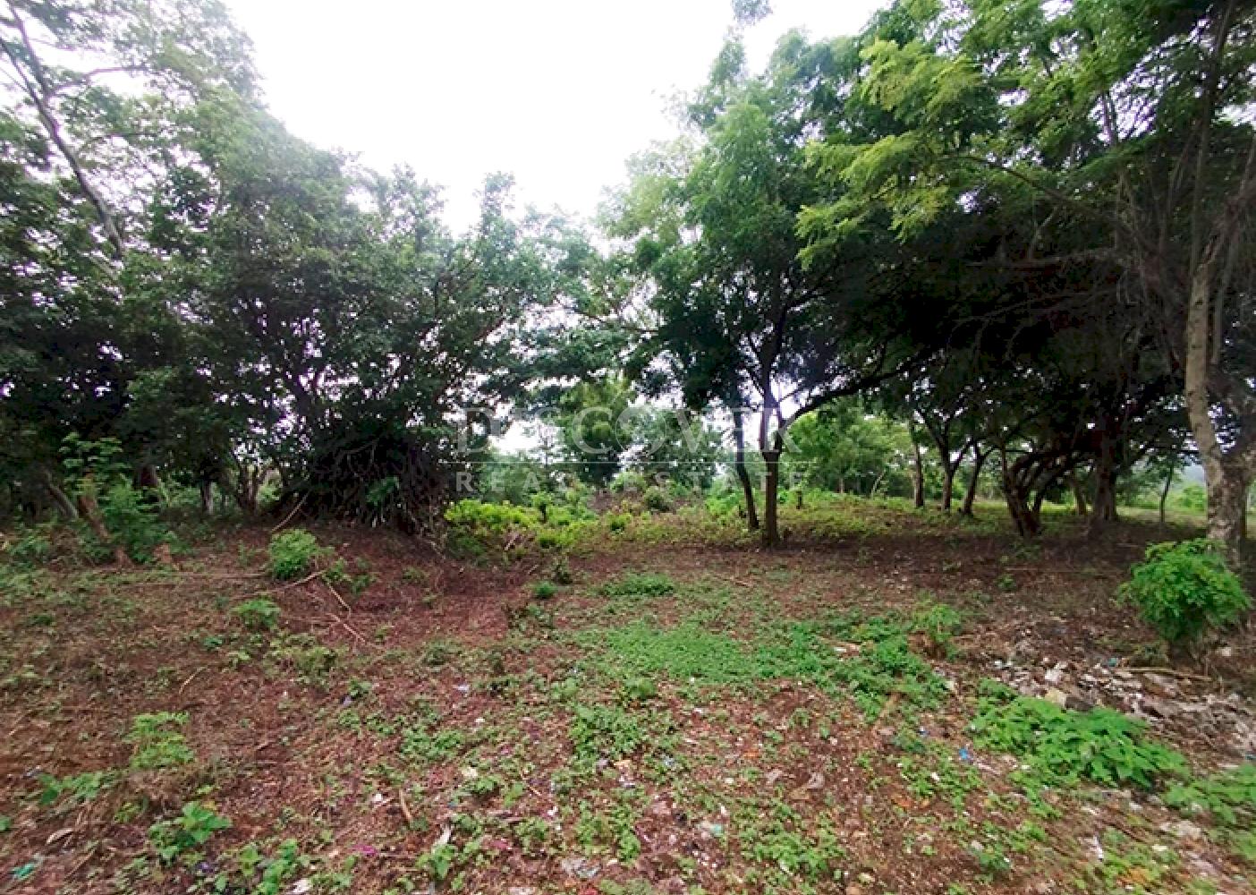  Flat land for sale opposite Carretera a Masaya
