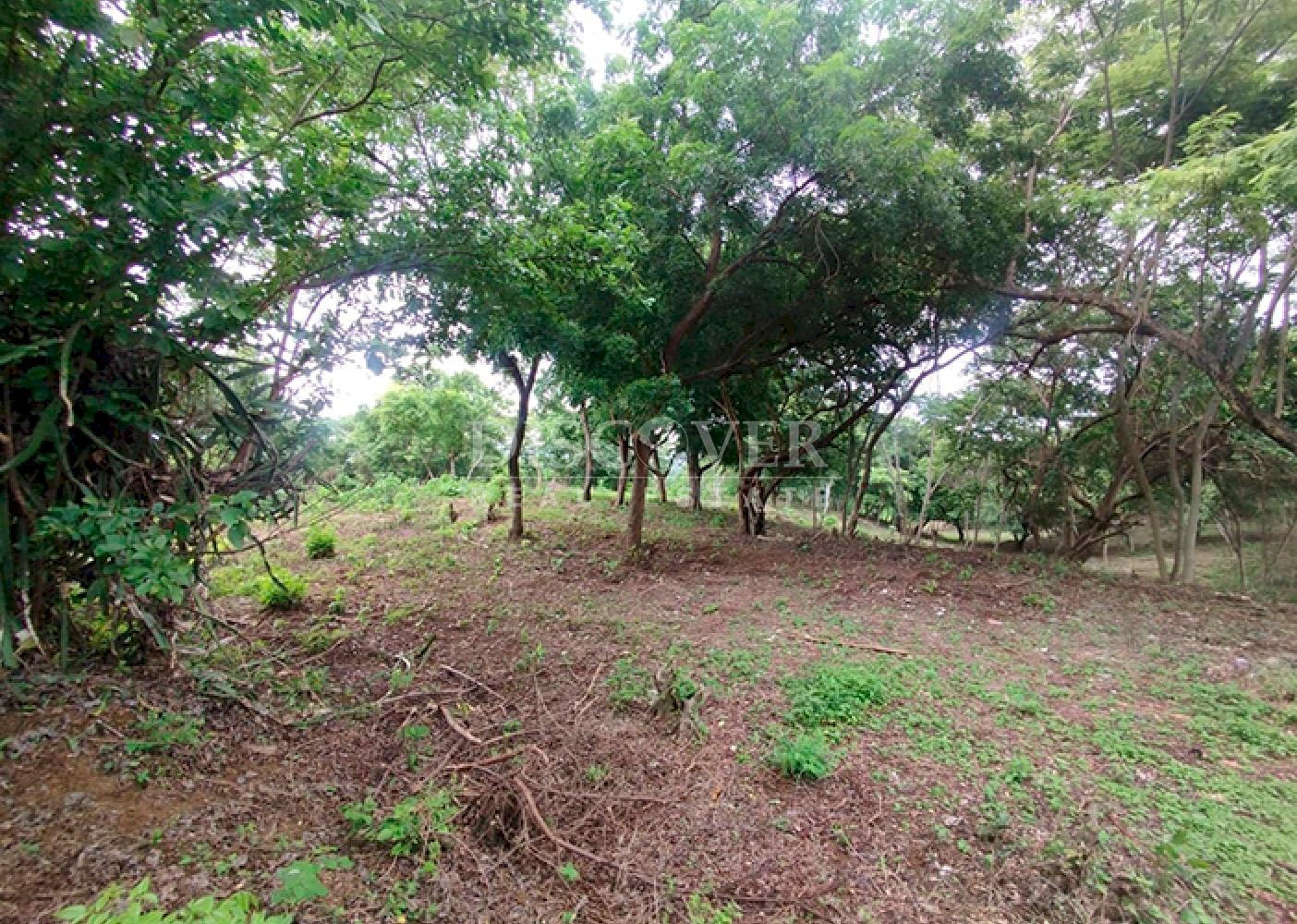  Flat land for sale opposite Carretera a Masaya