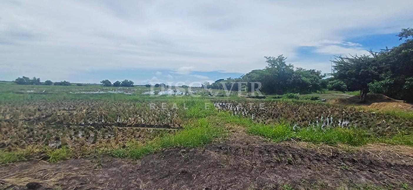  Rice farm for sale in production in Malacatoya