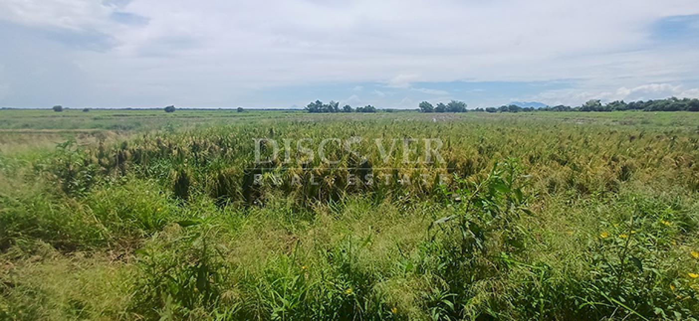  Rice farm for sale in production in Malacatoya