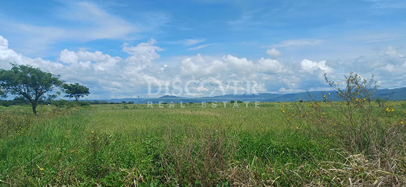  Rice farm for sale in production in Malacatoya