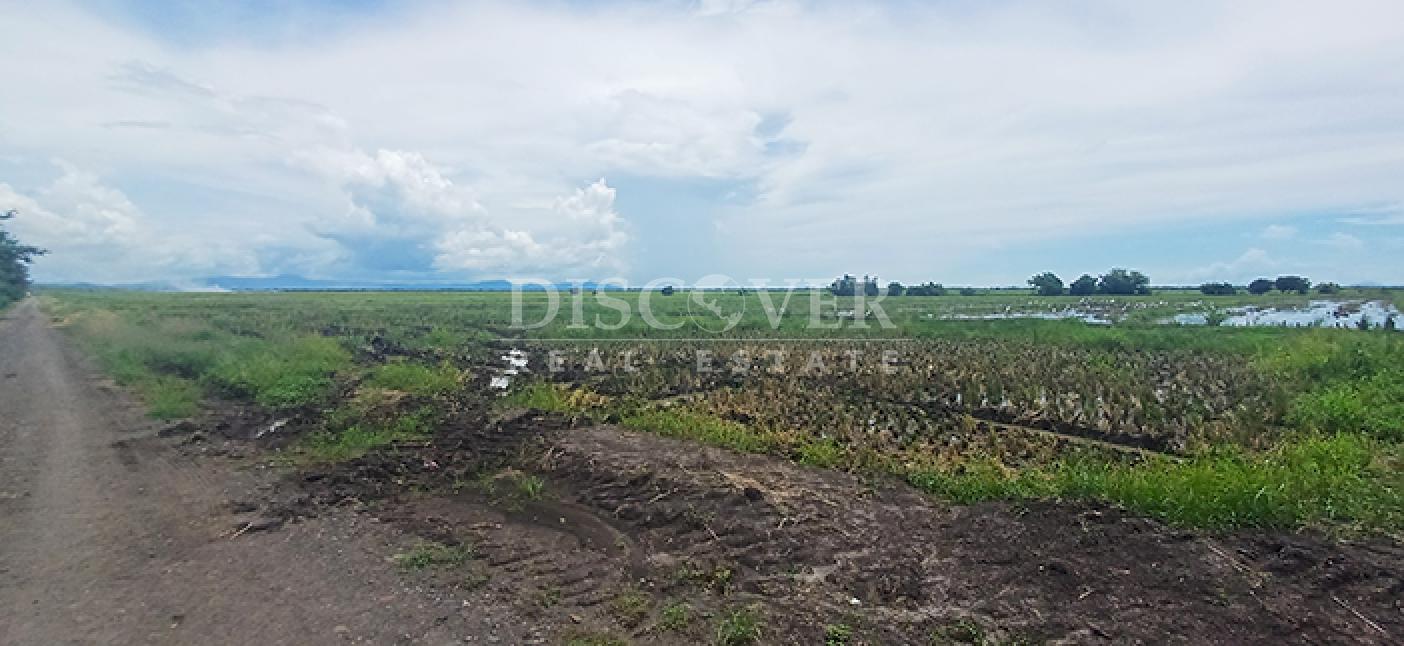  Rice farm for sale in production in Malacatoya