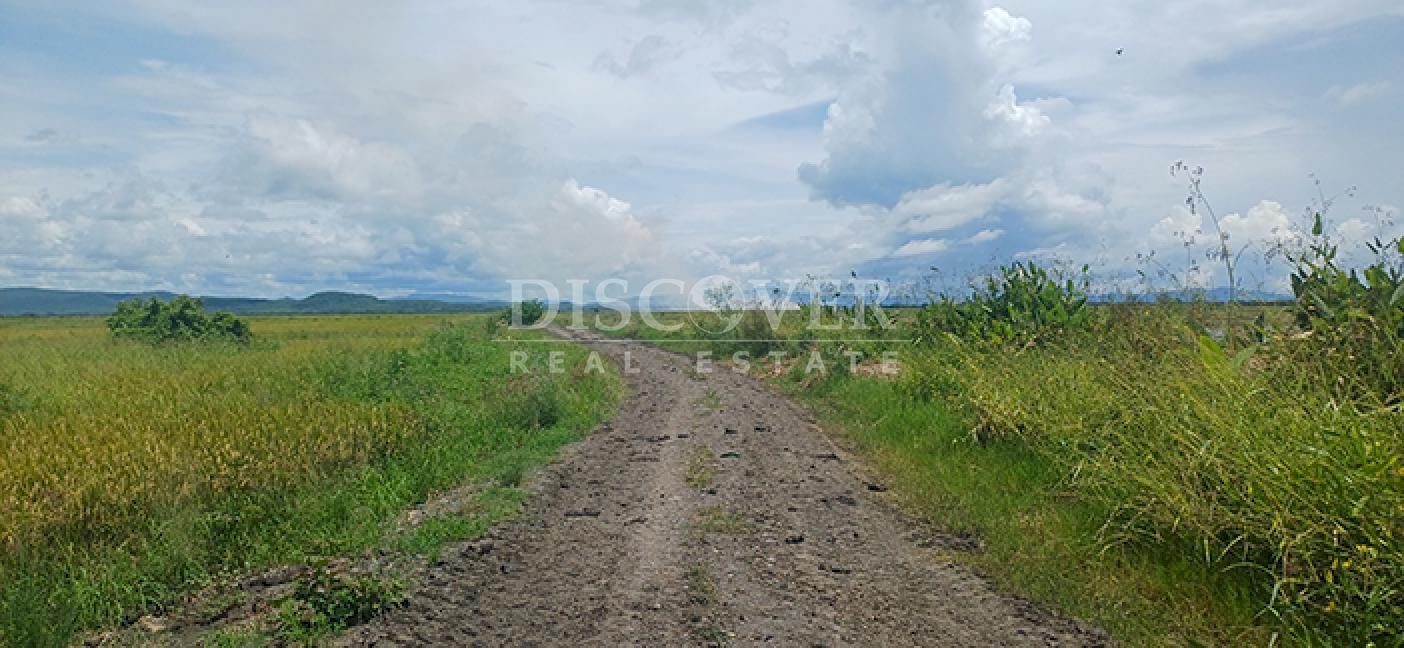 Rice farm for sale in production in Malacatoya