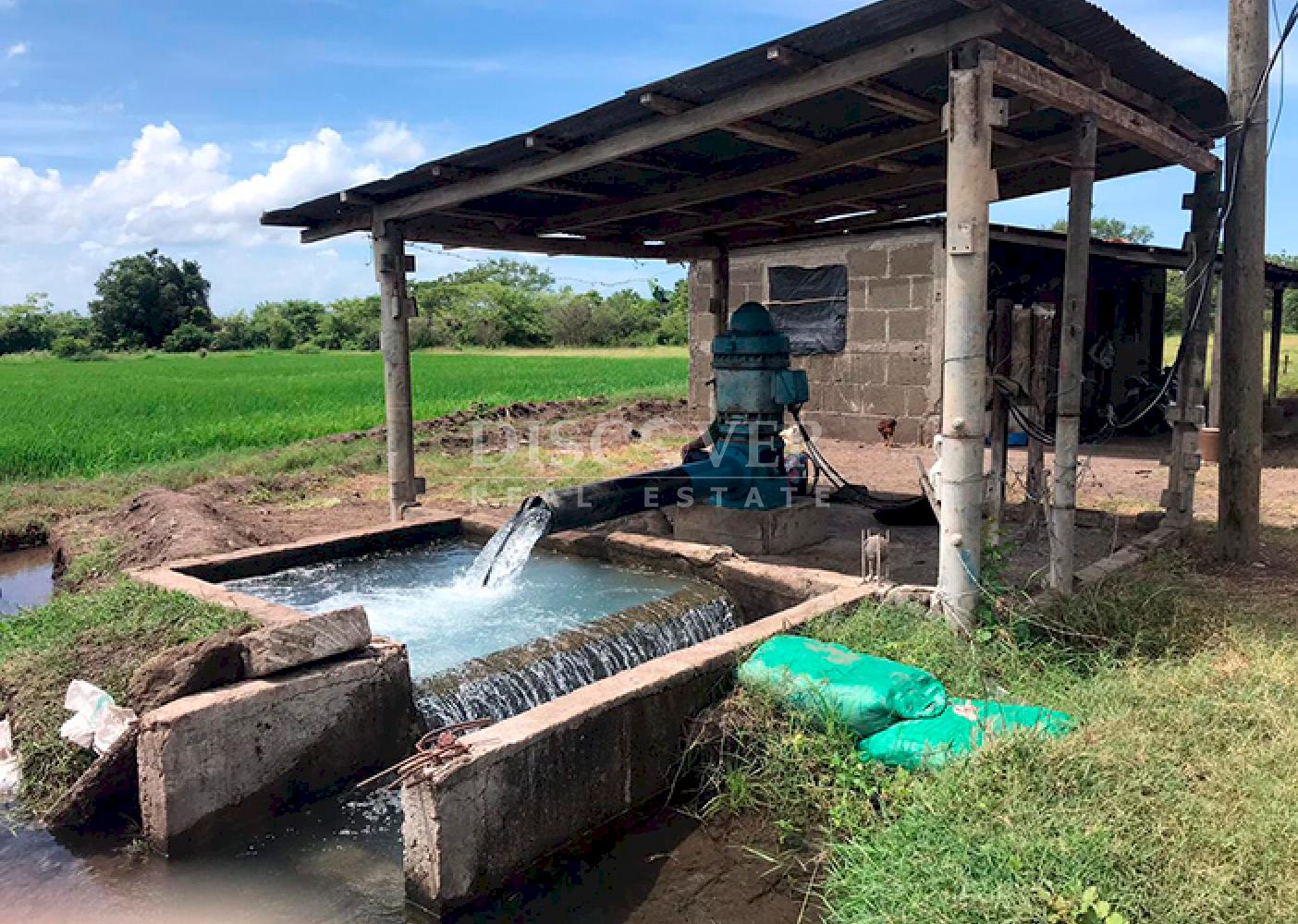  Rice farm for sale in production in Malacatoya
