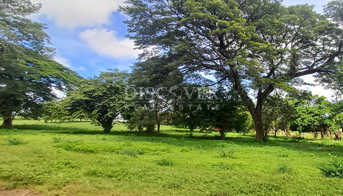  Land for commercial development for sale on the Masaya-Granada highway.