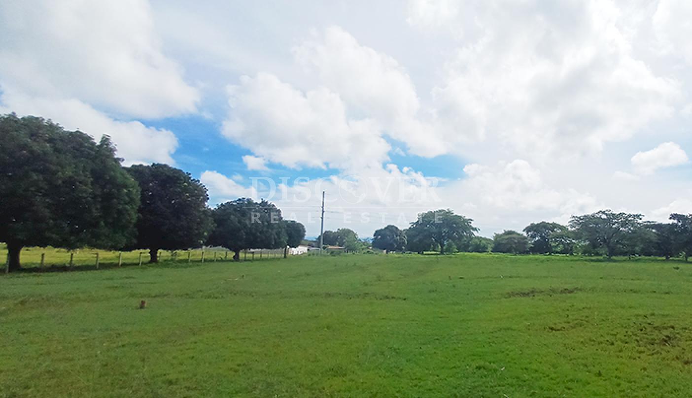  Land for commercial development for sale on the Masaya-Granada highway.