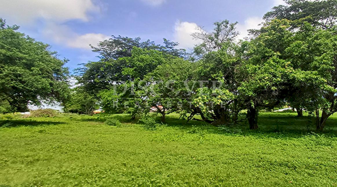  Land for commercial development for sale on the Masaya-Granada highway.