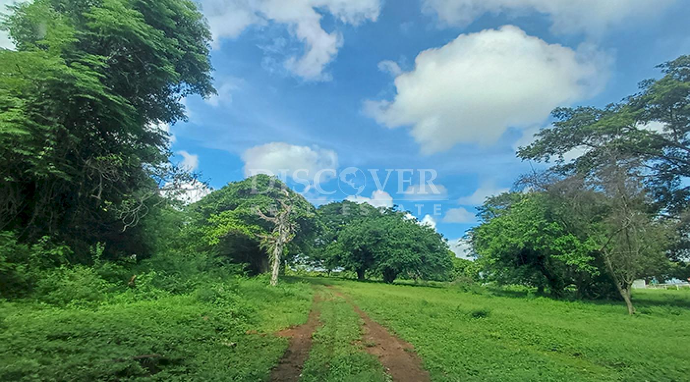  Land for commercial development for sale on the Masaya-Granada highway.