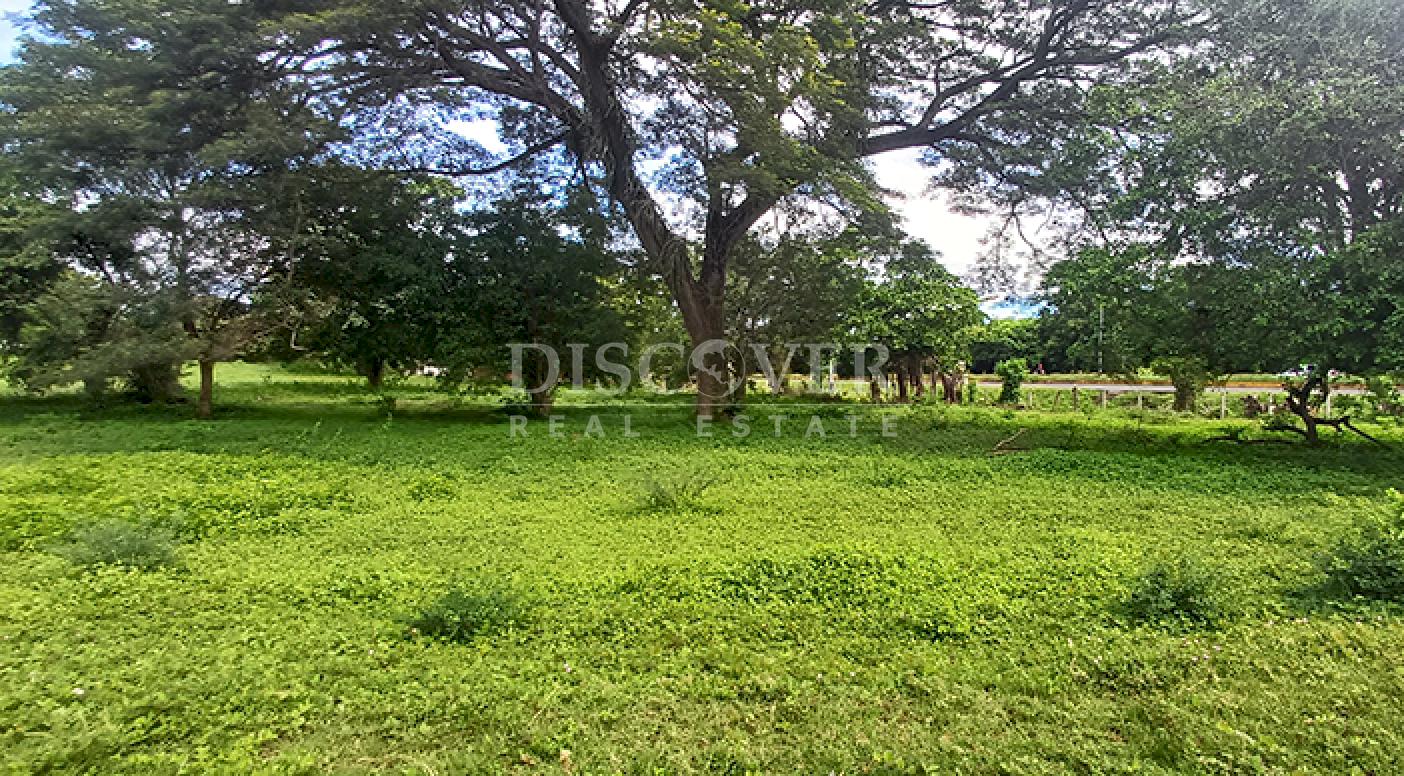  Land for commercial development for sale on the Masaya-Granada highway.