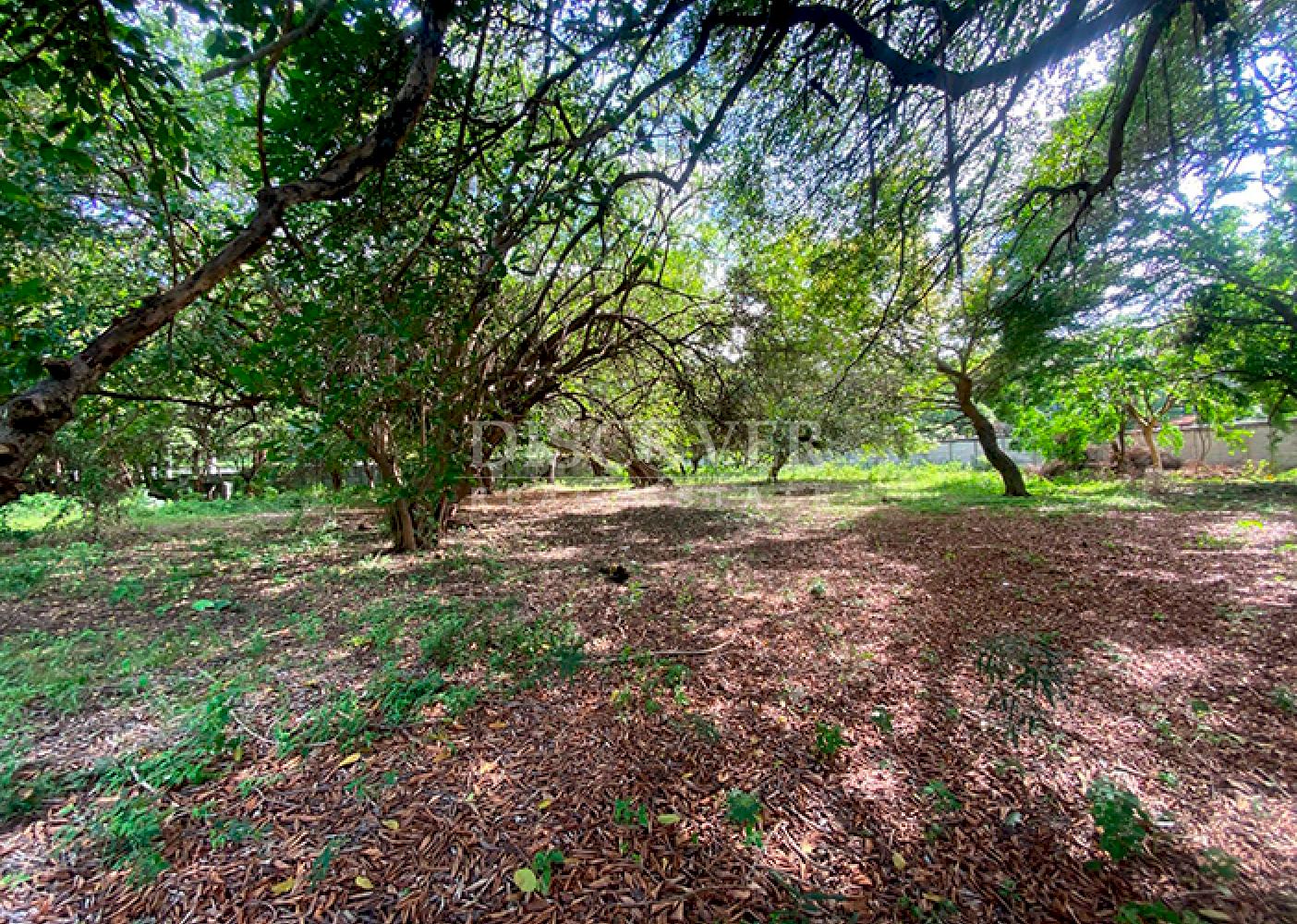 Land for sale facing the highway - South Highway 