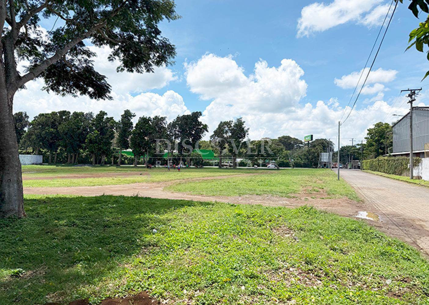 Imagen 5 de la galería