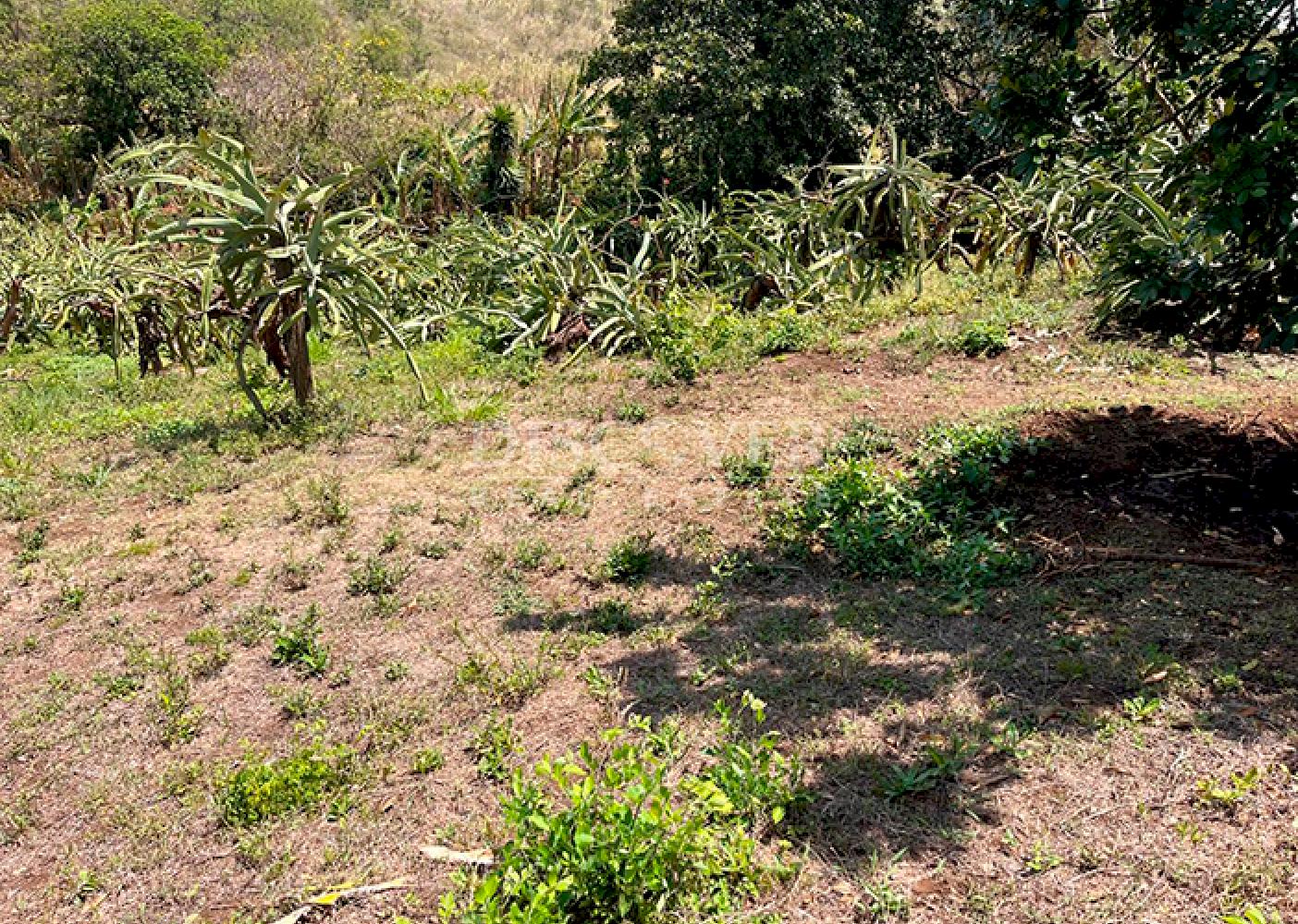  Agricultural farm for sale in Diriamba 
