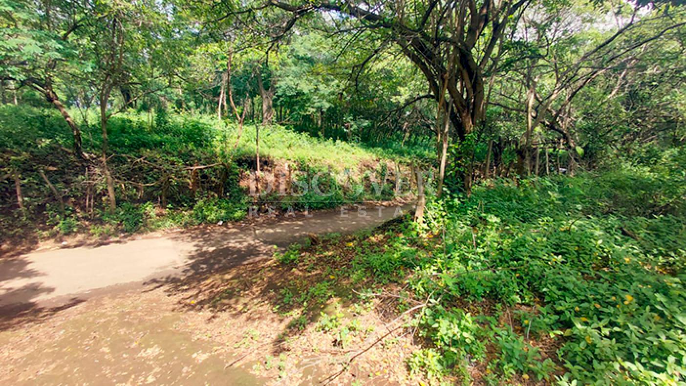  Land surrounded by nature for sale on Carretera Sur