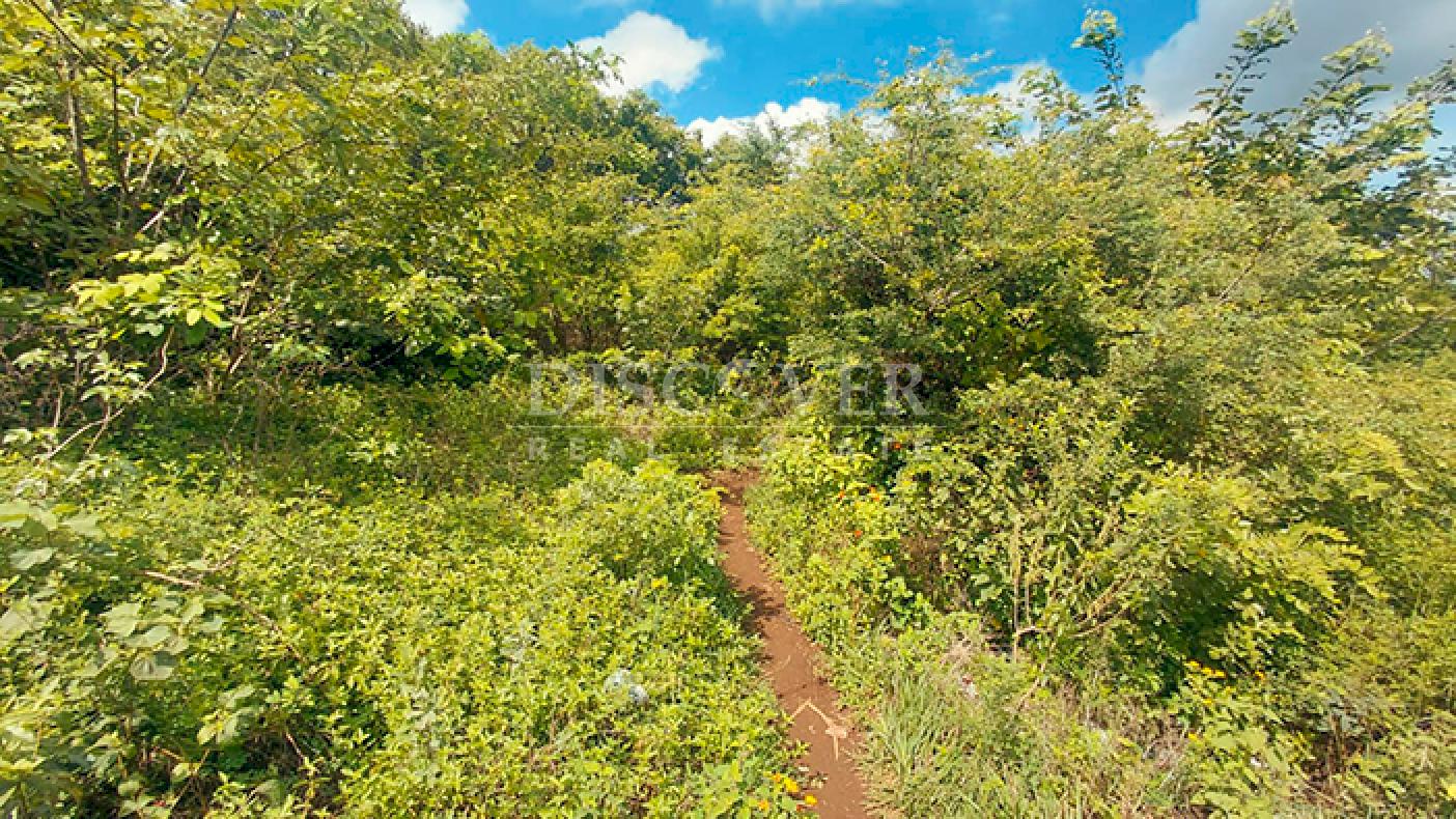  Land surrounded by nature for sale on Carretera Sur