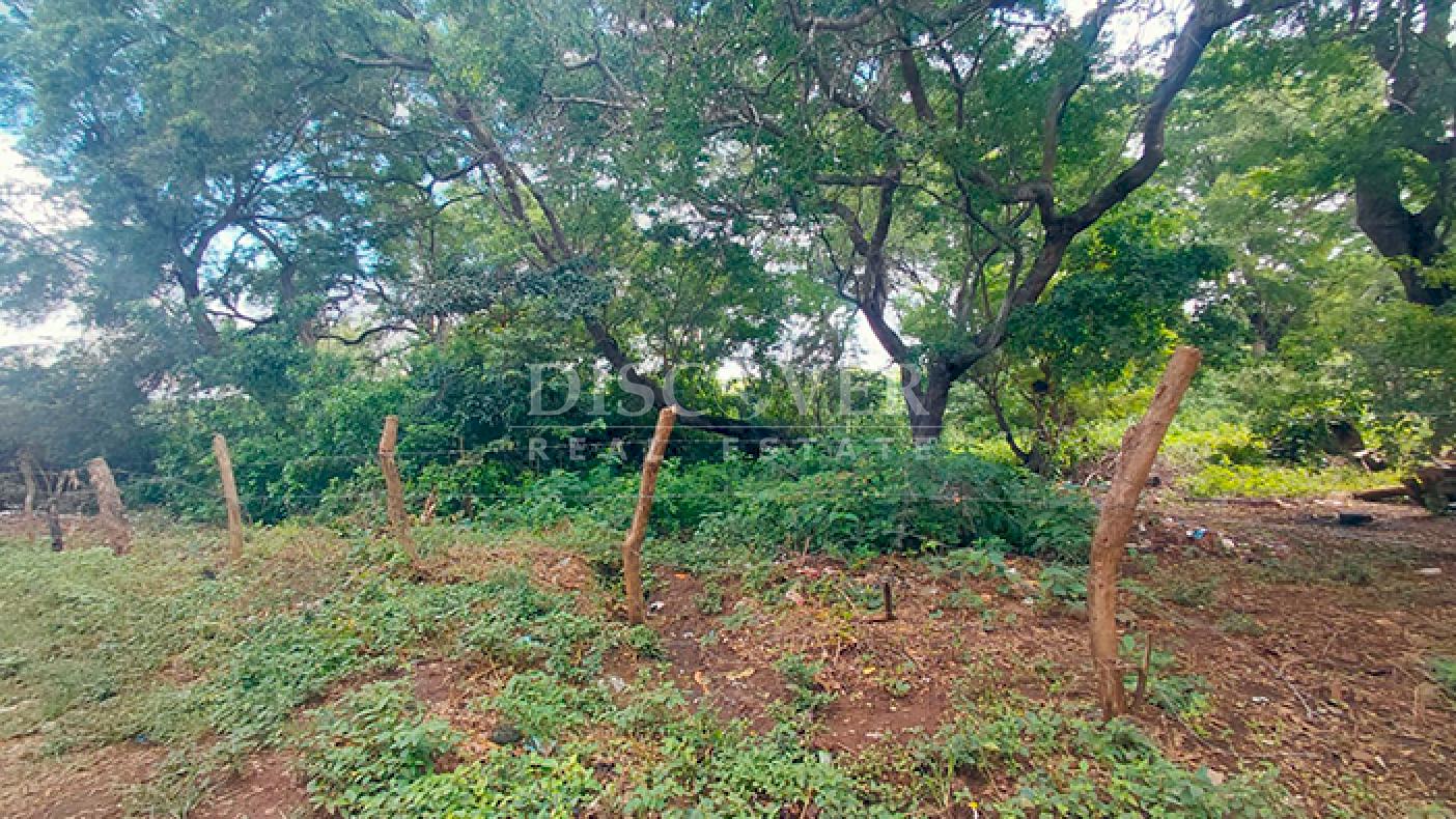  Land surrounded by nature for sale on Carretera Sur