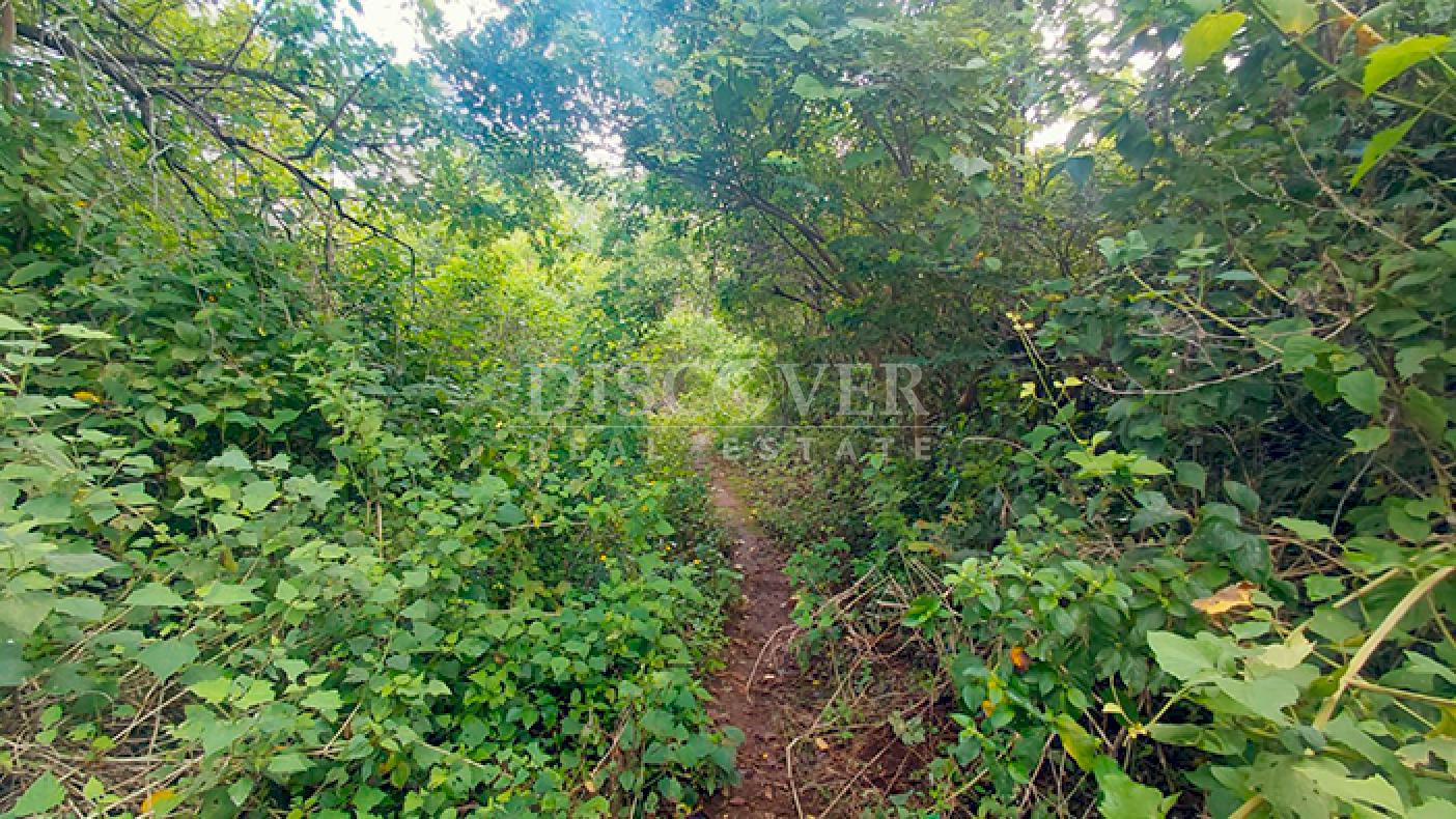  Land surrounded by nature for sale on Carretera Sur