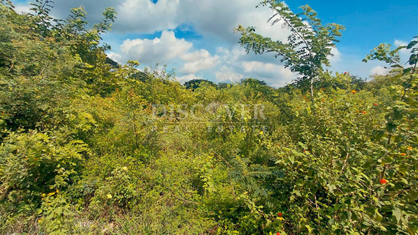  Land surrounded by nature for sale on Carretera Sur