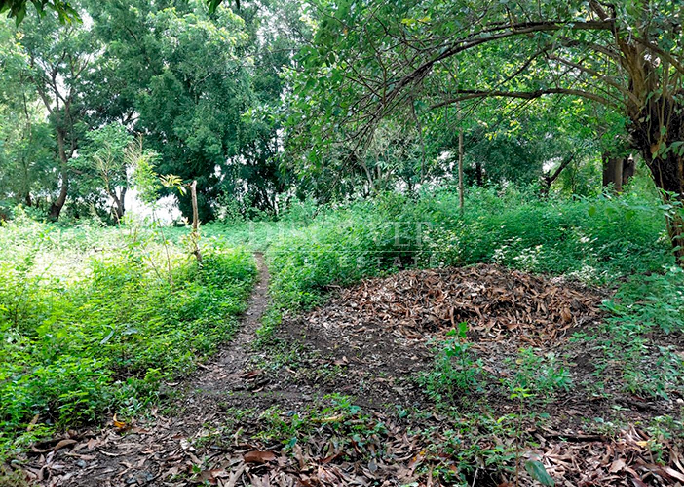  Flat land for sale on Carretera Sur