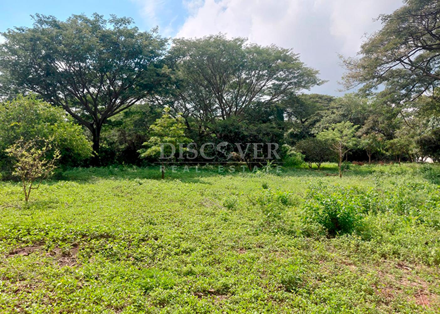  Flat land for sale on Carretera Sur