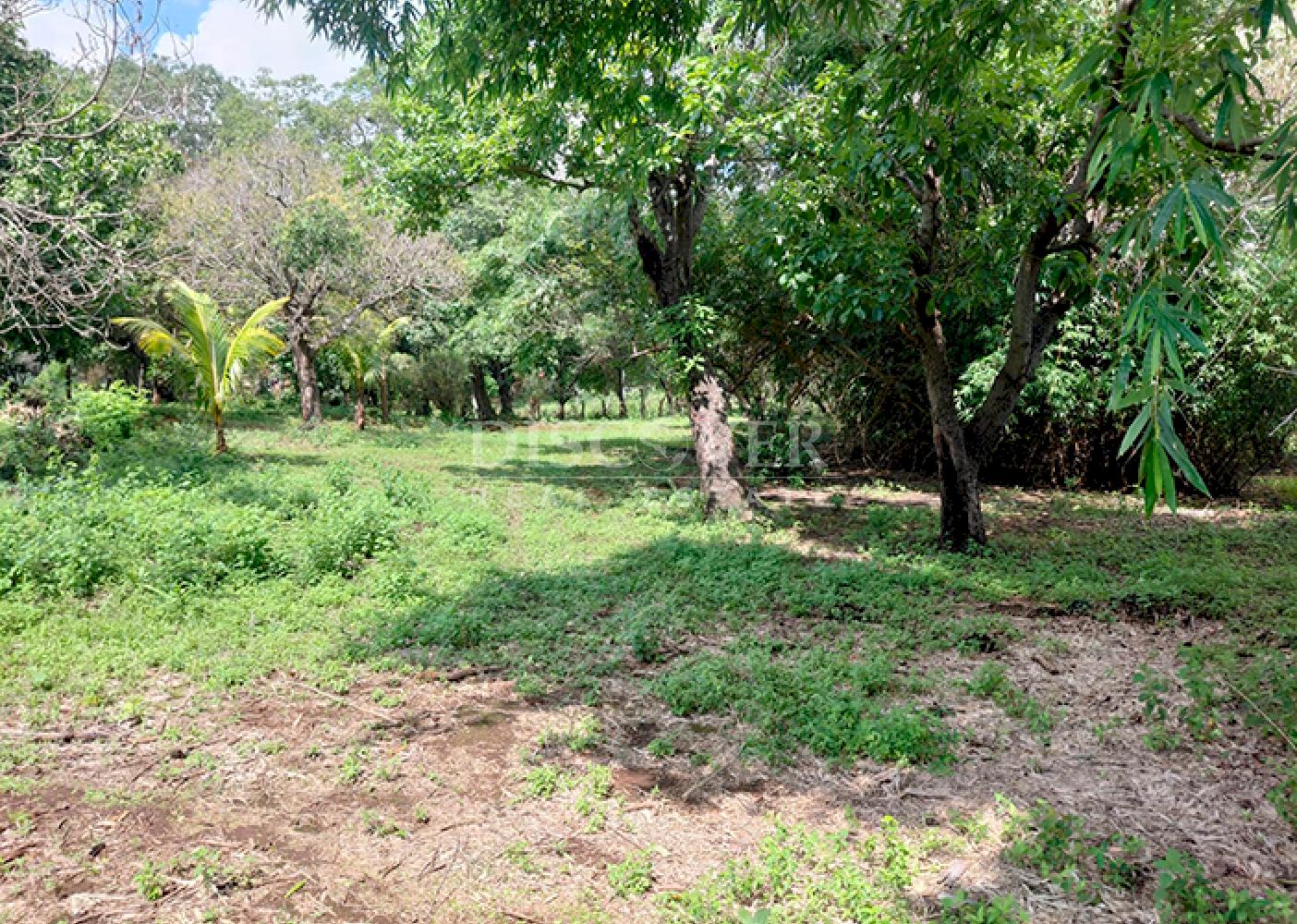  Flat land for sale on Carretera Sur