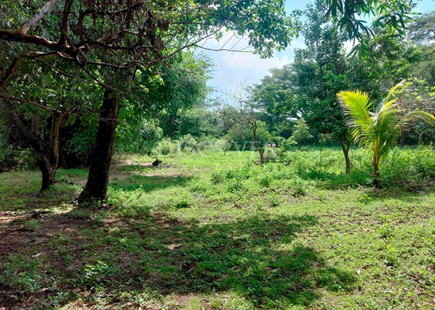  Flat land for sale on Carretera Sur