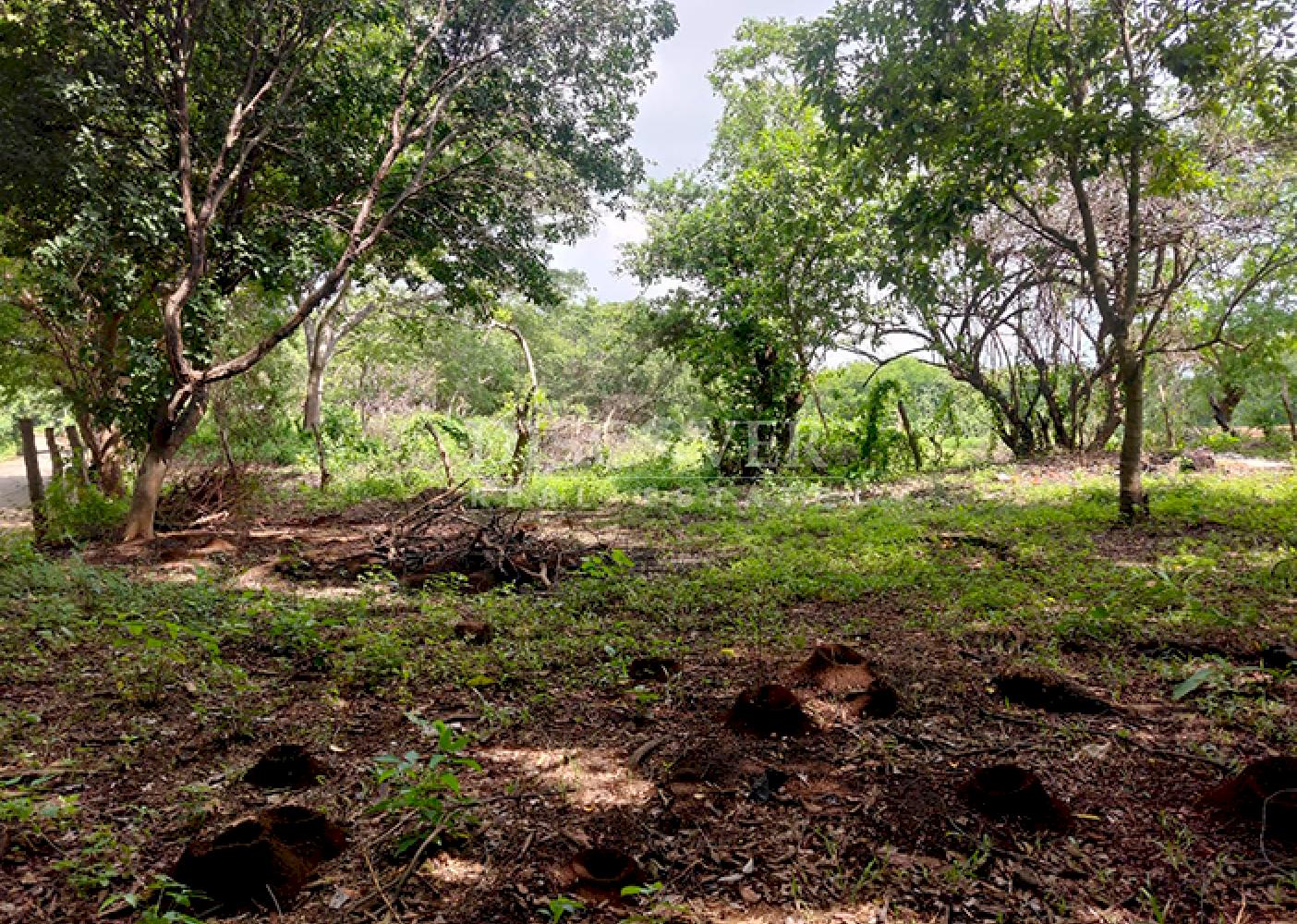  Flat land for sale on Carretera Sur