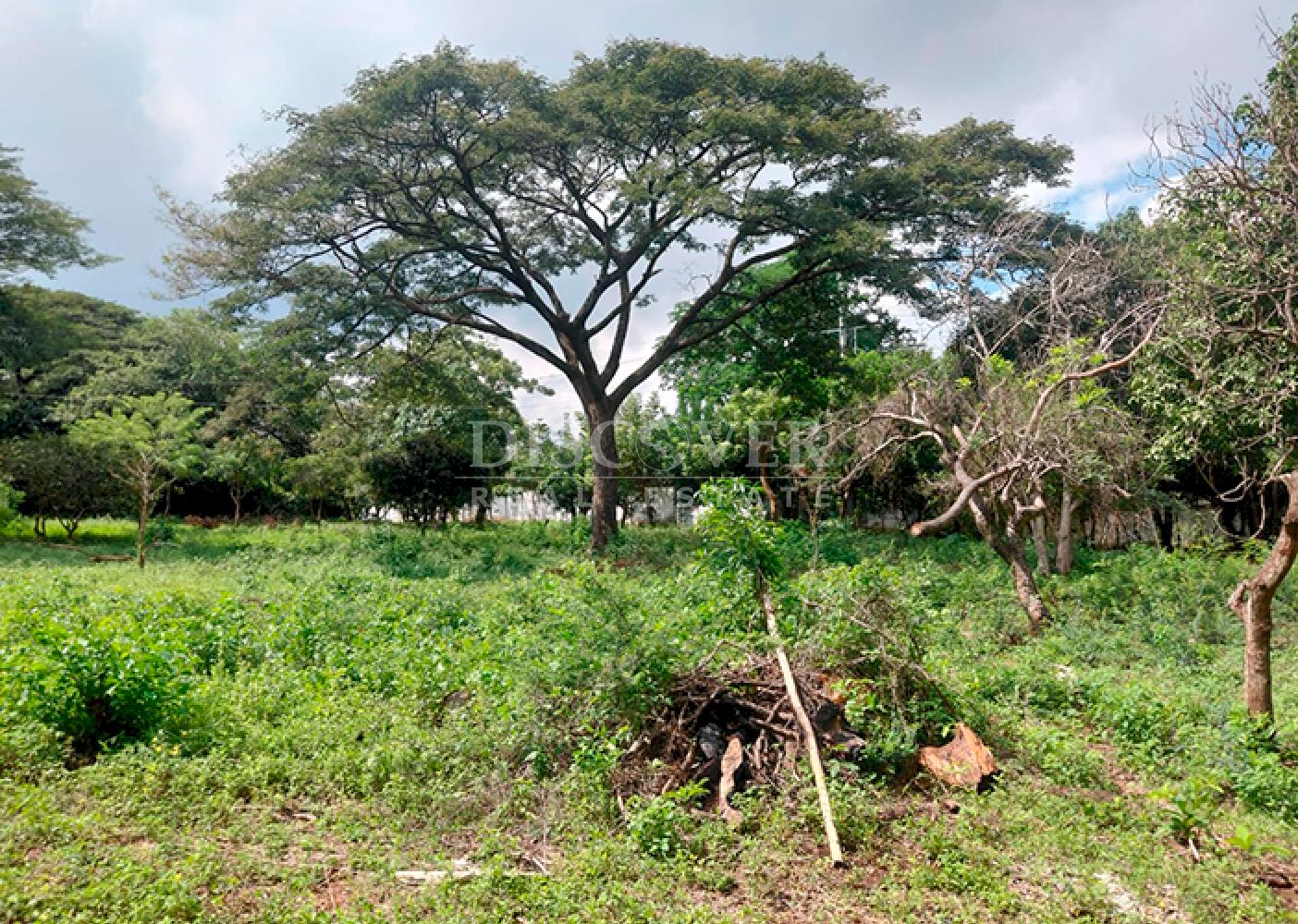  Flat land for sale on Carretera Sur