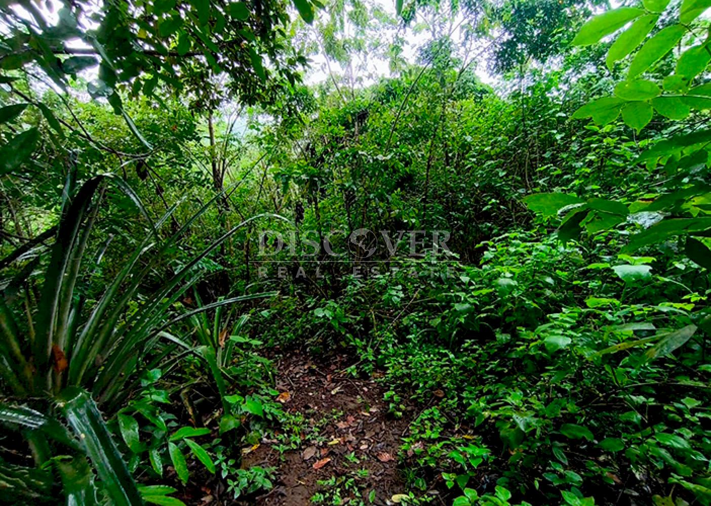  Land for sale in Masaya - In a natural setting