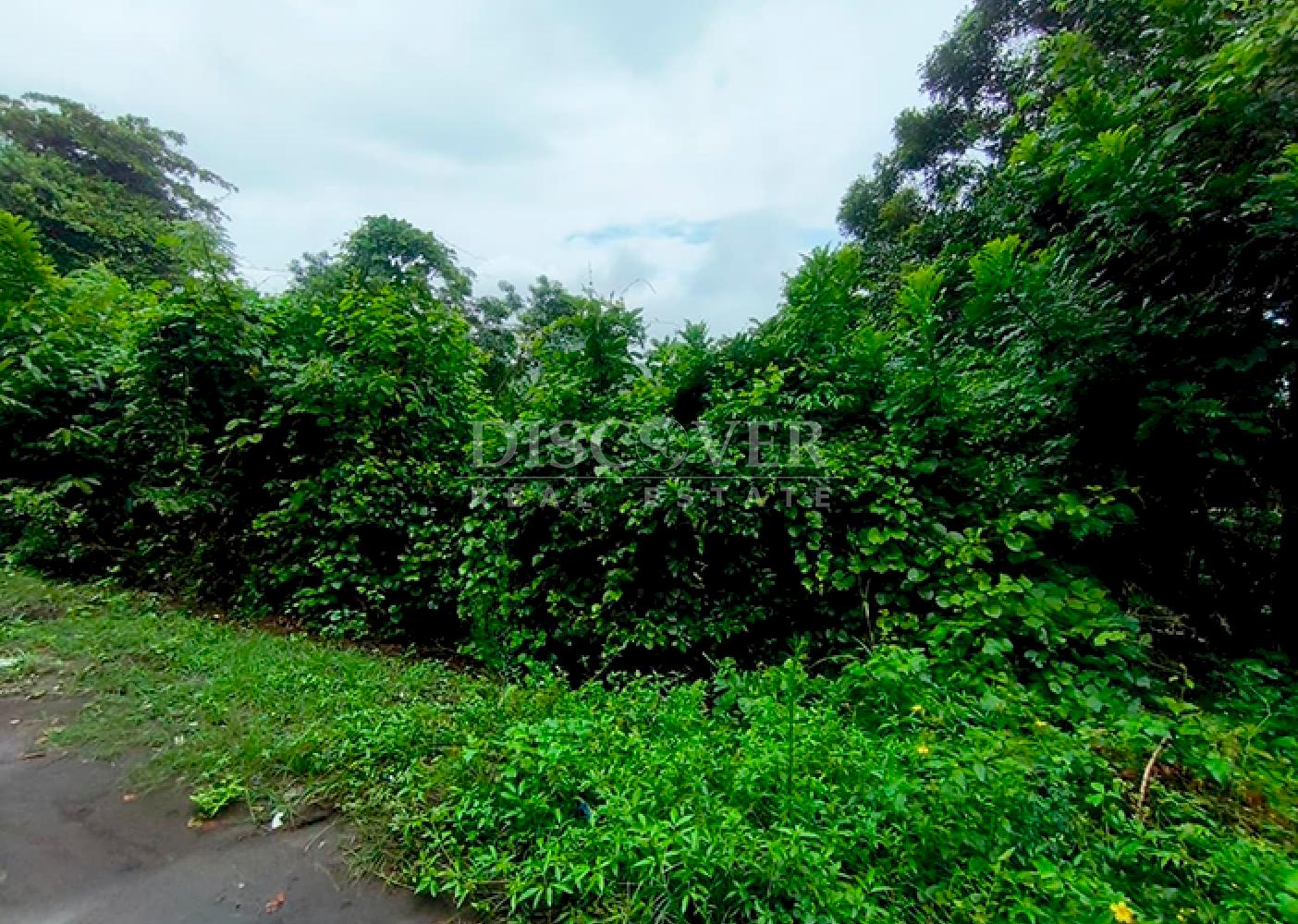  Land for sale in Masaya - In a natural setting