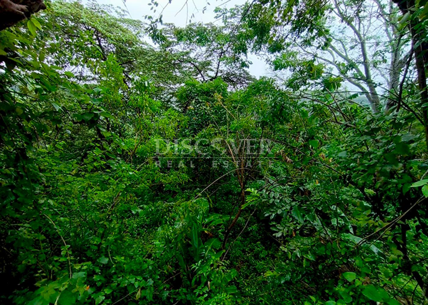  Land for sale in Masaya - In a natural setting