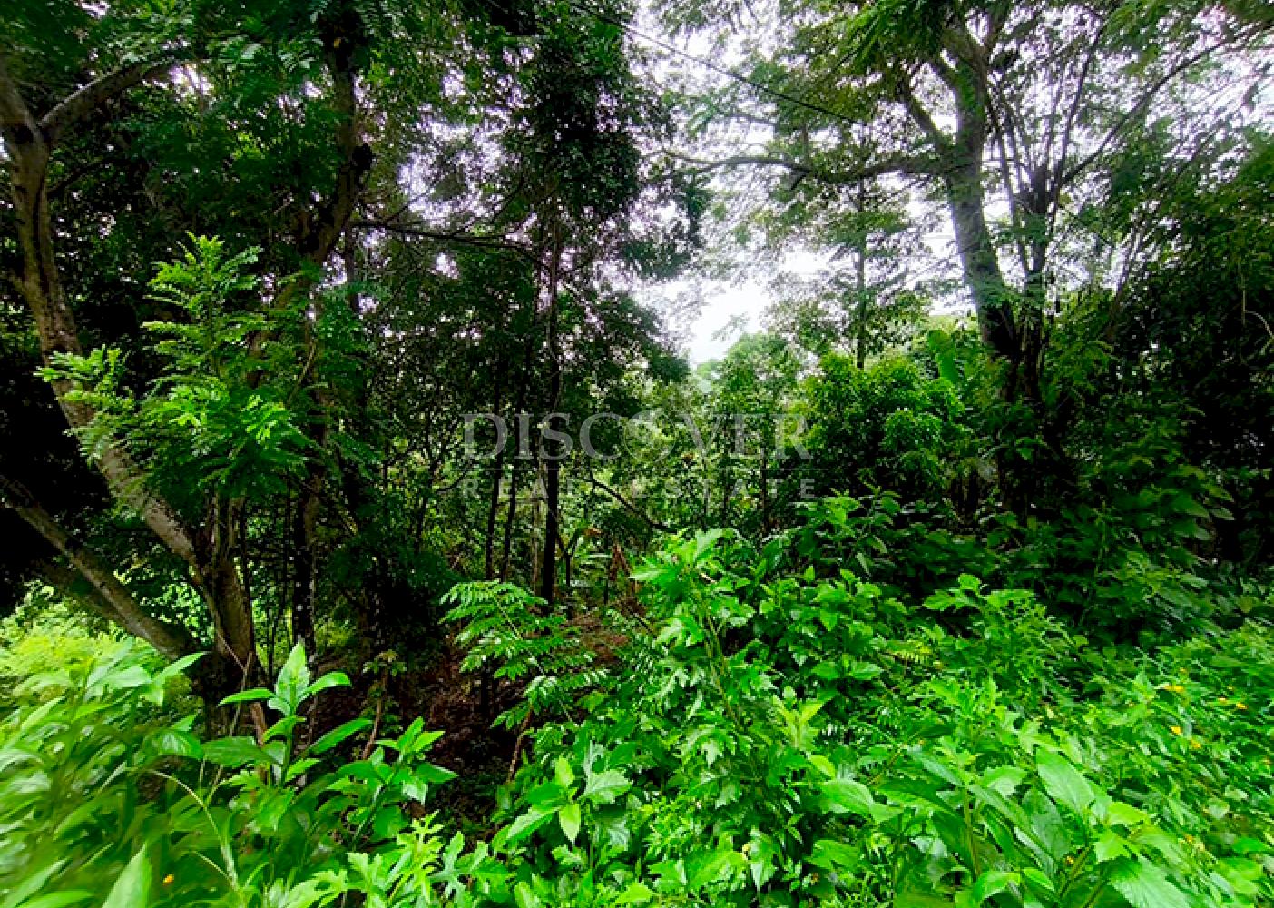  Land for sale in Masaya - In a natural setting