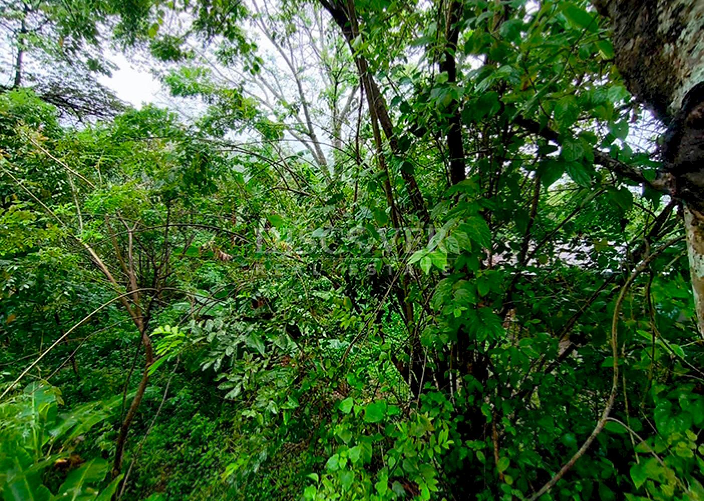  Land for sale in Masaya - In a natural setting