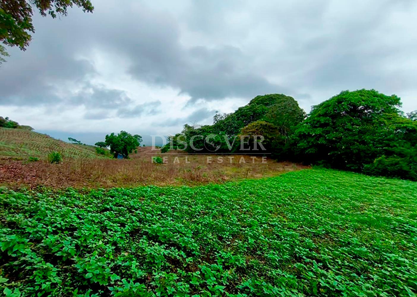 Agricultural land for sale in Masaya 