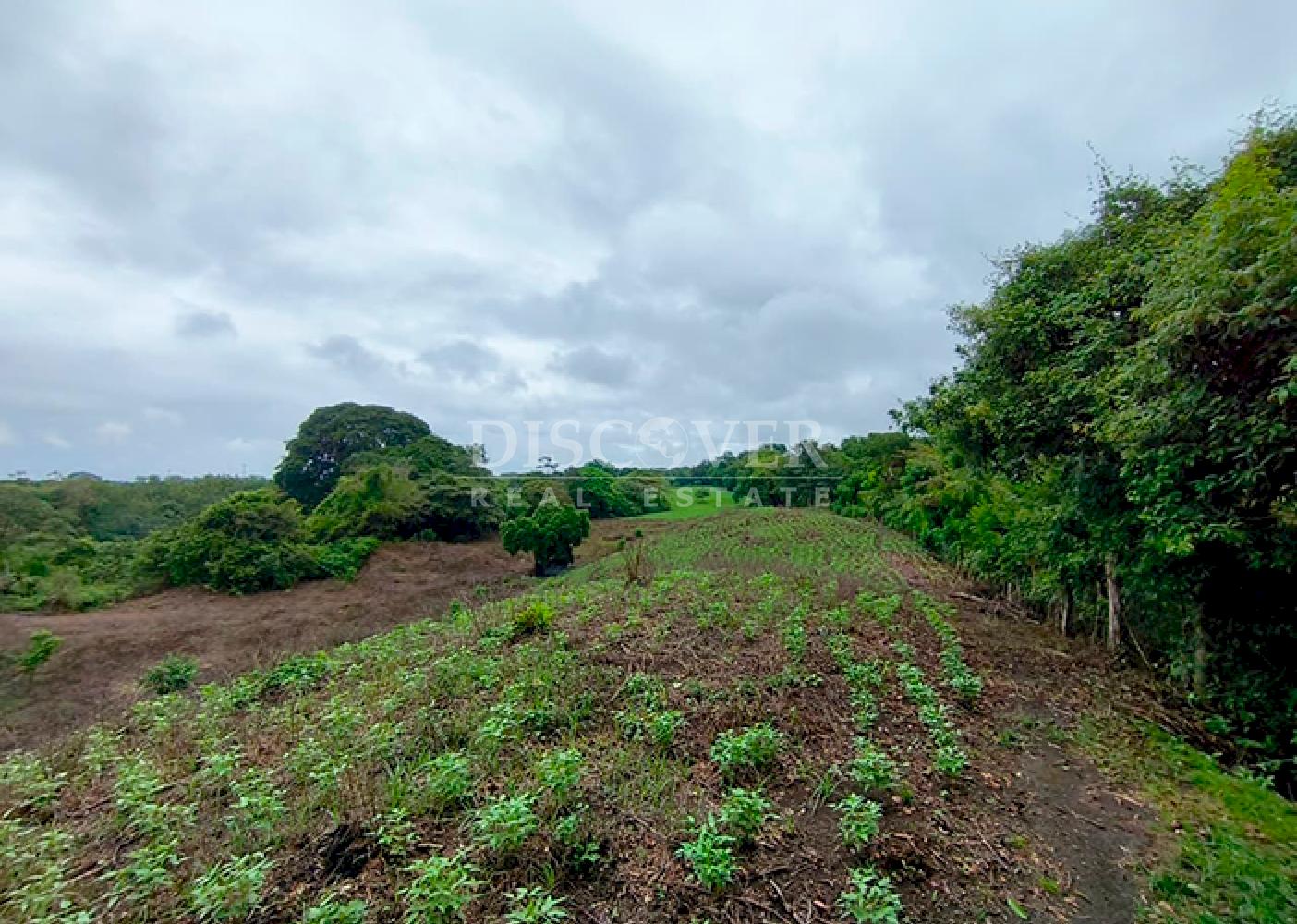 Agricultural land for sale in Masaya 