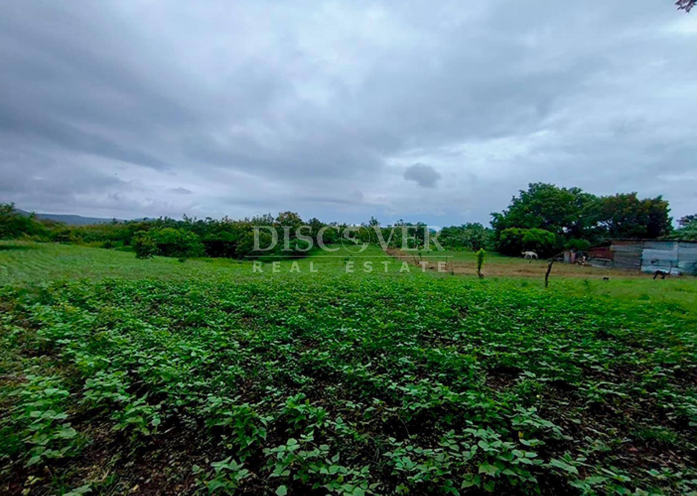Agricultural land for sale in Masaya 
