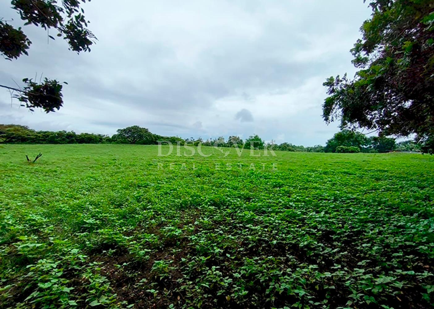 Agricultural land for sale in Masaya 