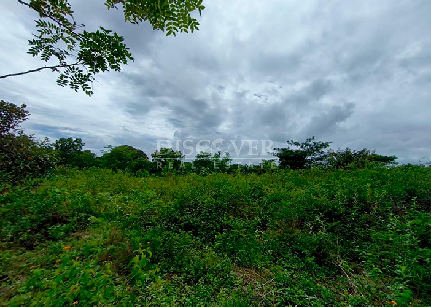  Flat land for sale in Masaya