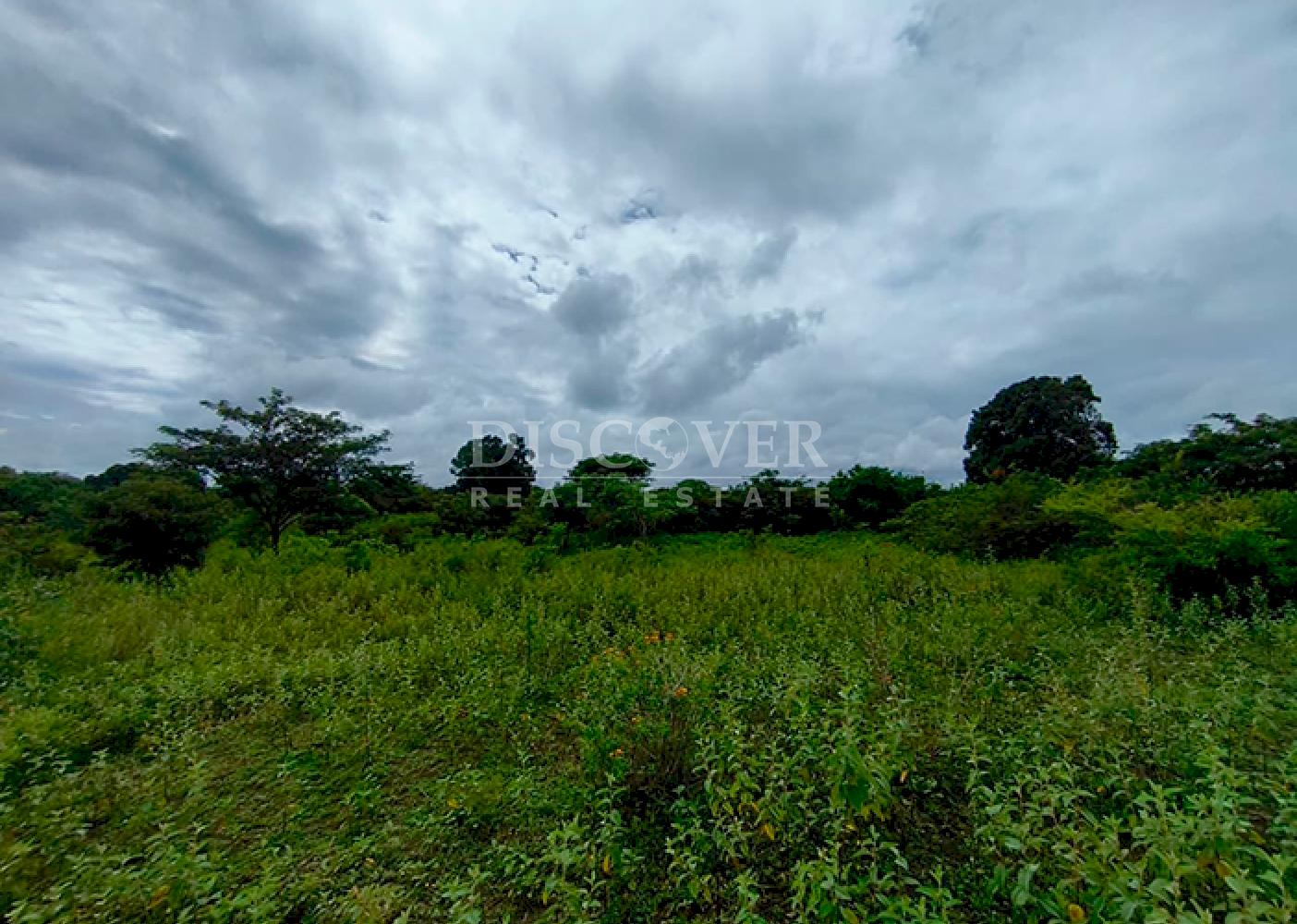  Flat land for sale in Masaya