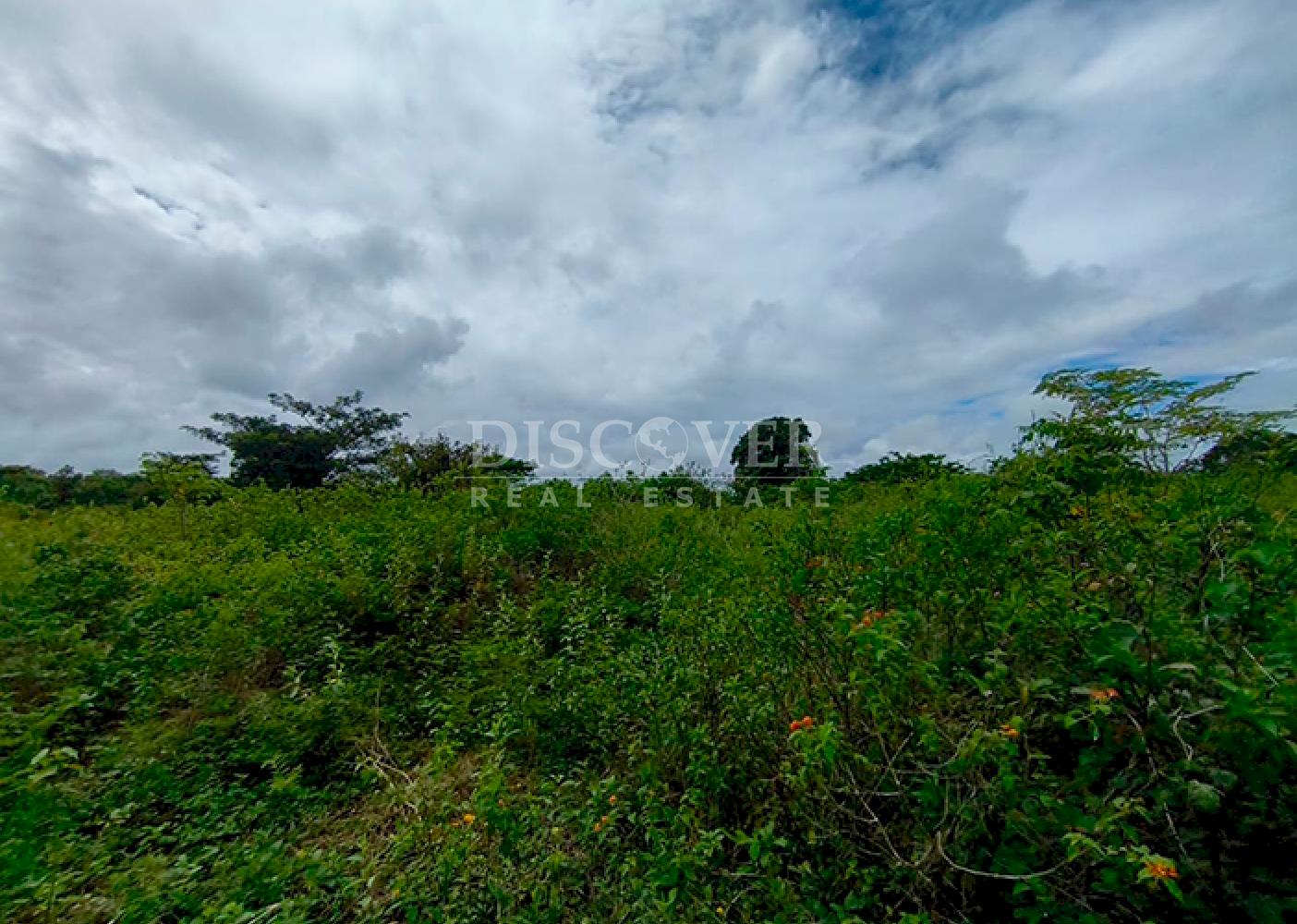  Flat land for sale in Masaya