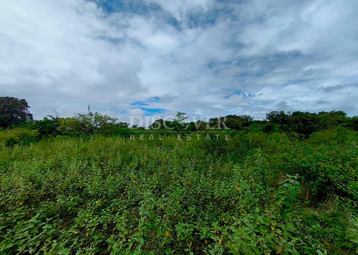  Flat land for sale in Masaya