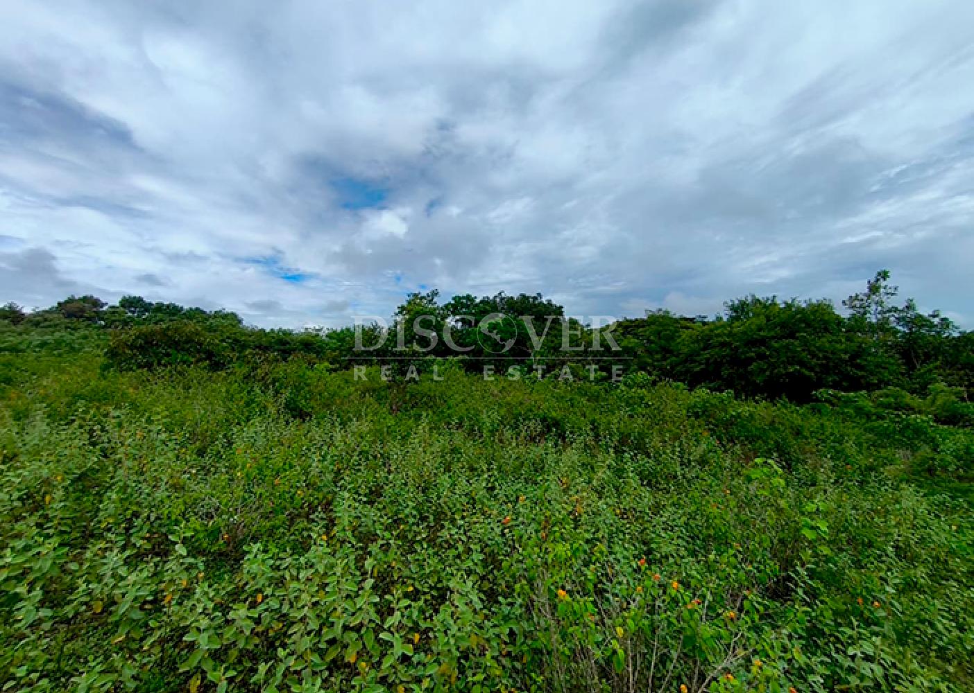  Flat land for sale in Masaya