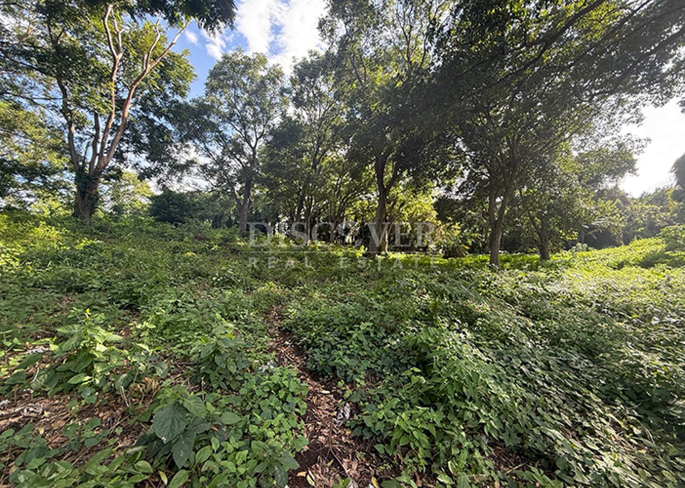 Flat land for sale in Villa Fontana