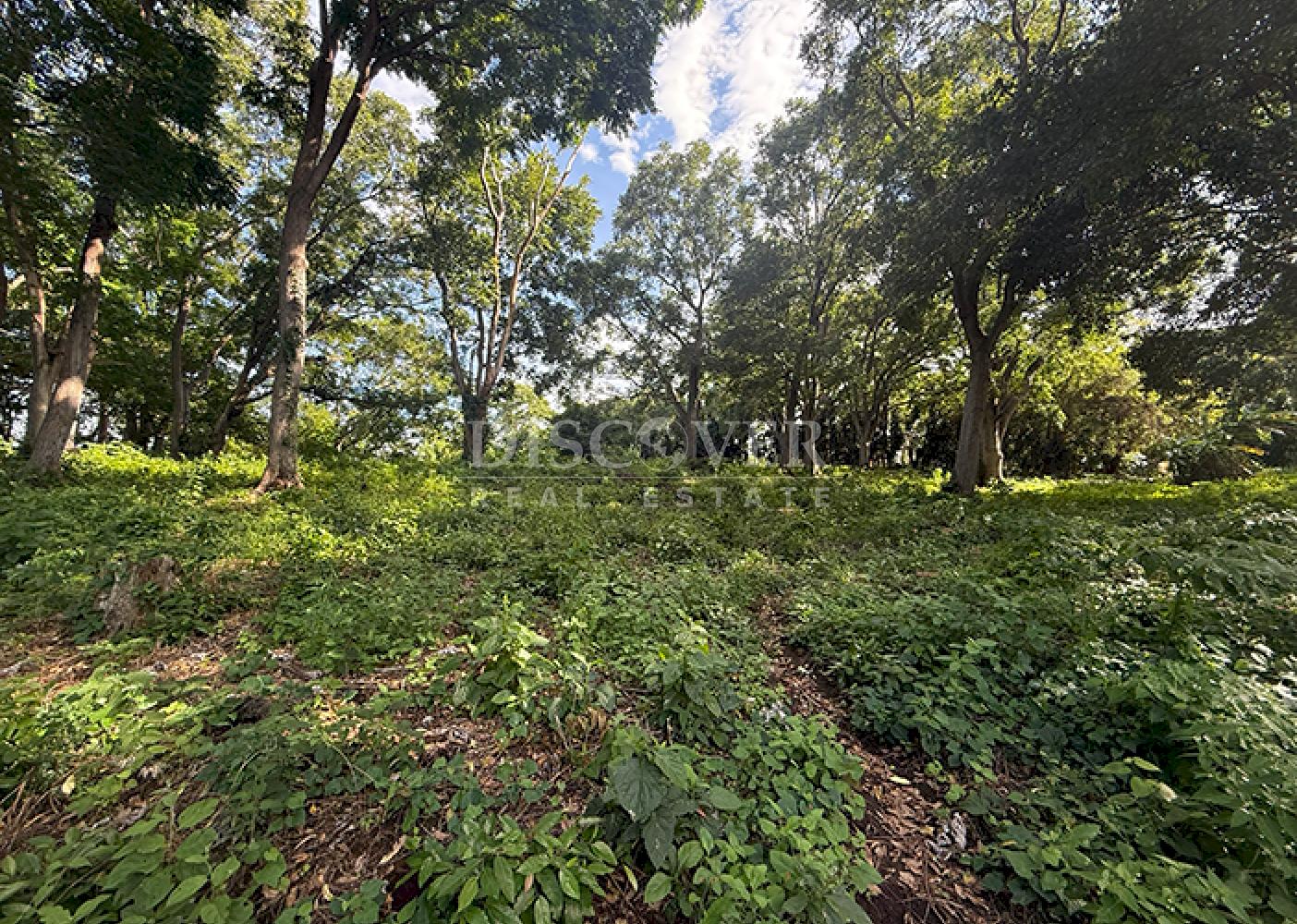 Flat land for sale in Villa Fontana