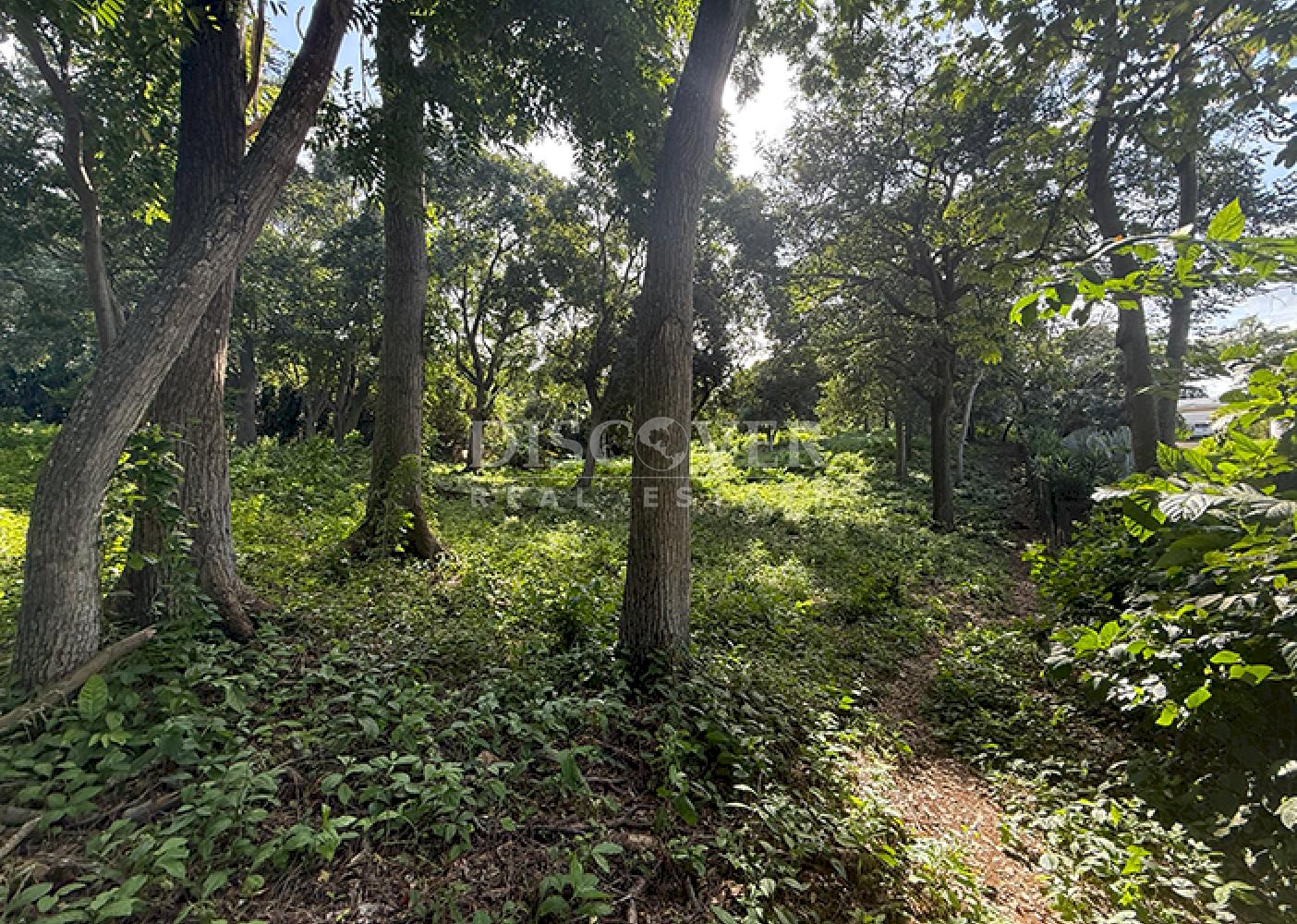 Flat land for sale in Villa Fontana