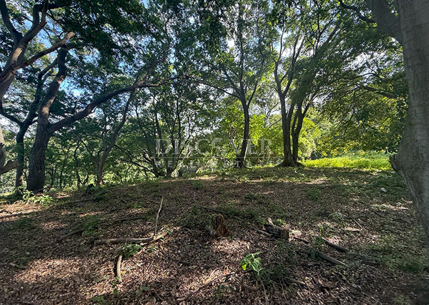 Flat land for sale in Villa Fontana