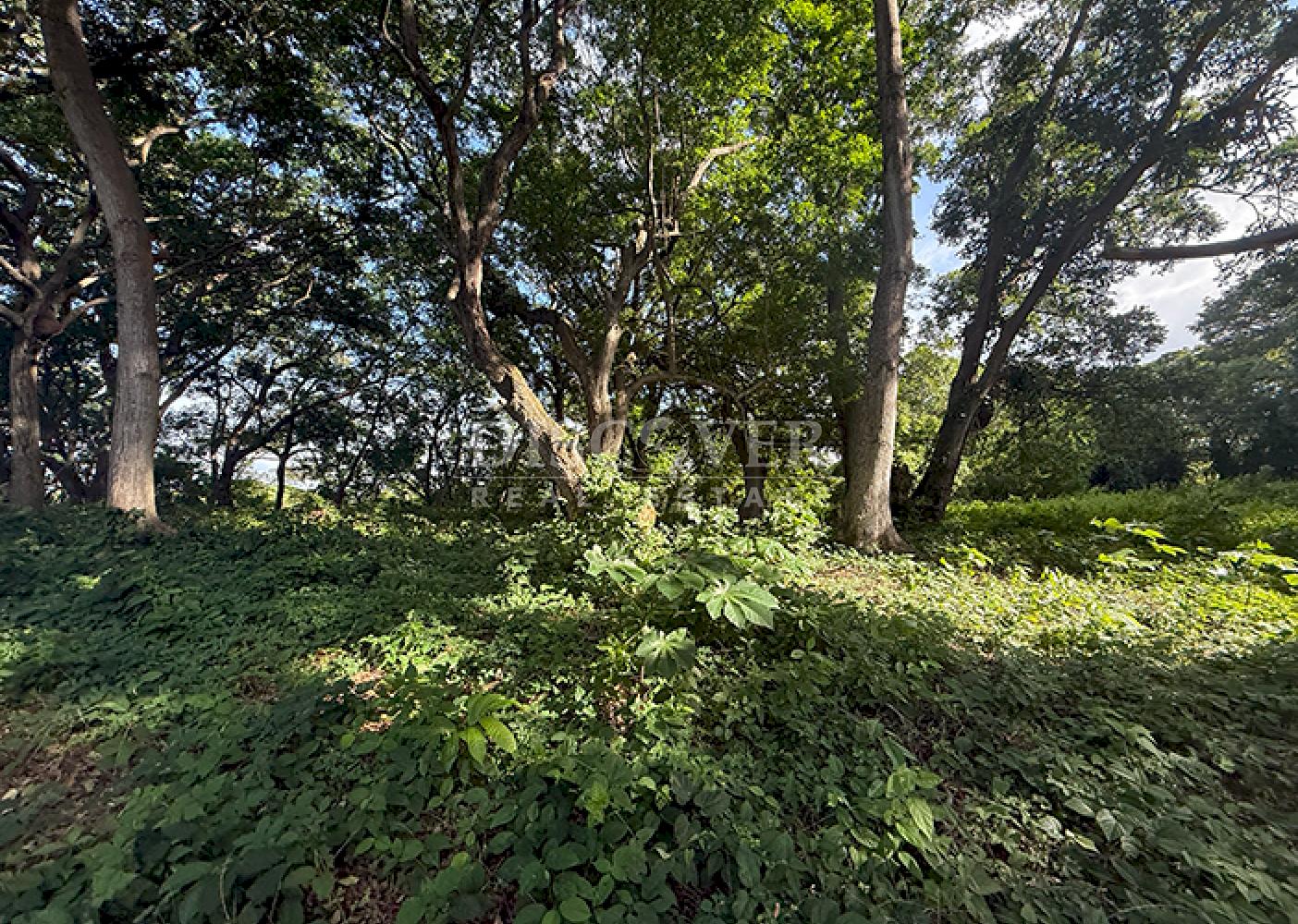 Flat land for sale in Villa Fontana