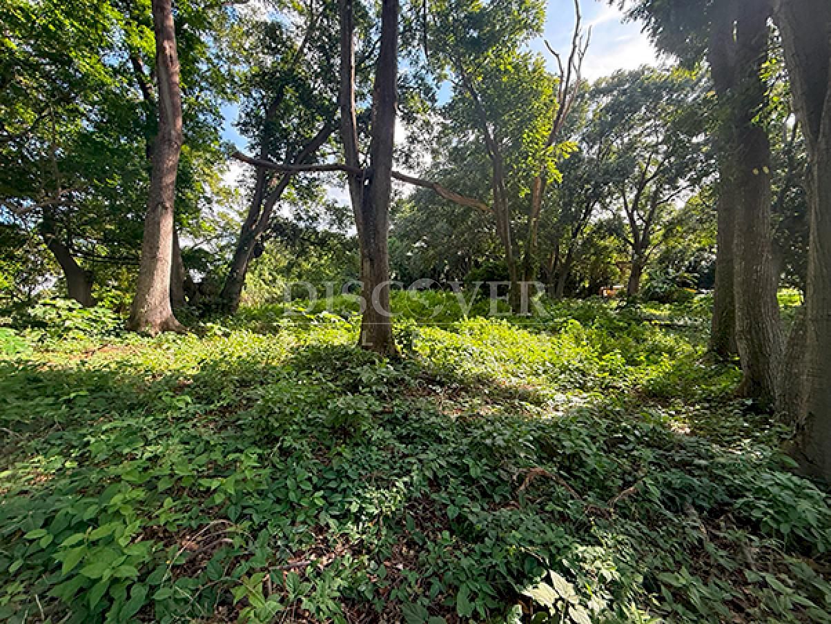 Flat land for sale in Villa Fontana