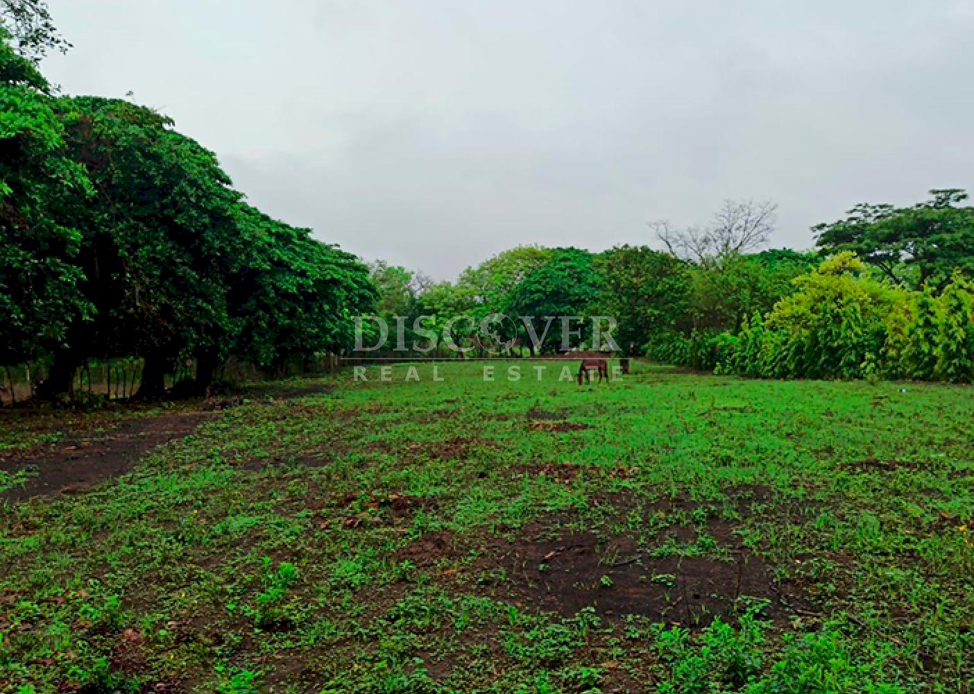 Flat land for sale in Veracruz