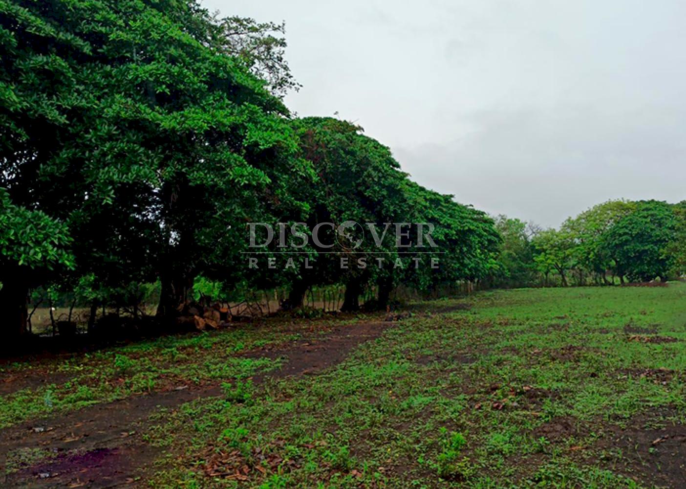 Flat land for sale in Veracruz