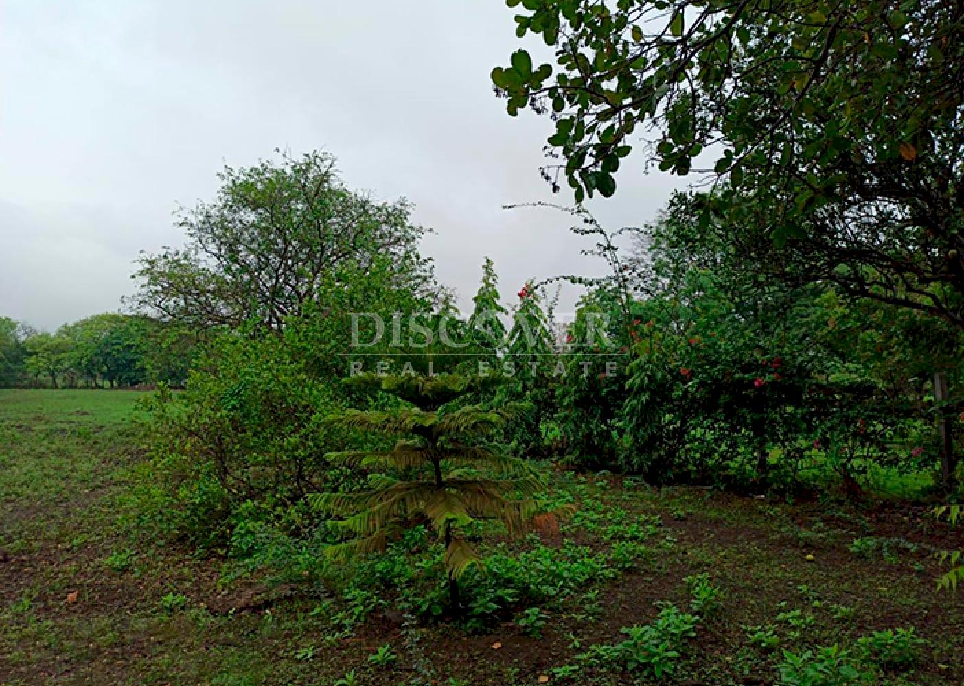 Flat land for sale in Veracruz